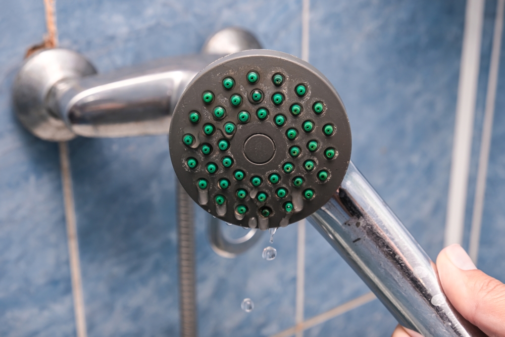 fix shower head pat plumbing and gas